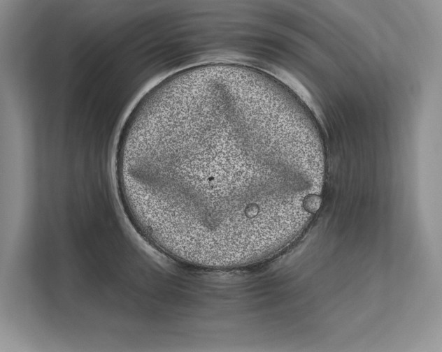 X0000110870947200907091358