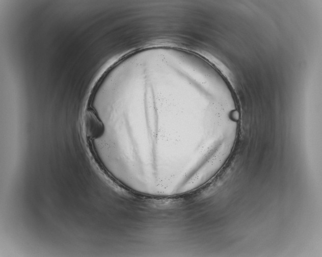 X0000110870949200907091358