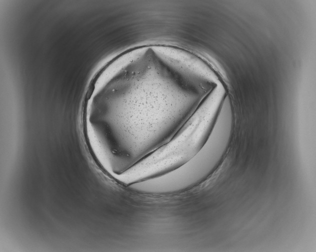 X0000110870952200907091358