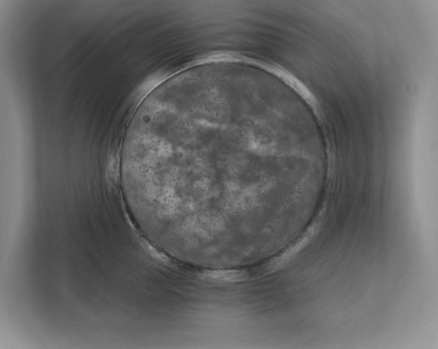 X0000110870953200907091358