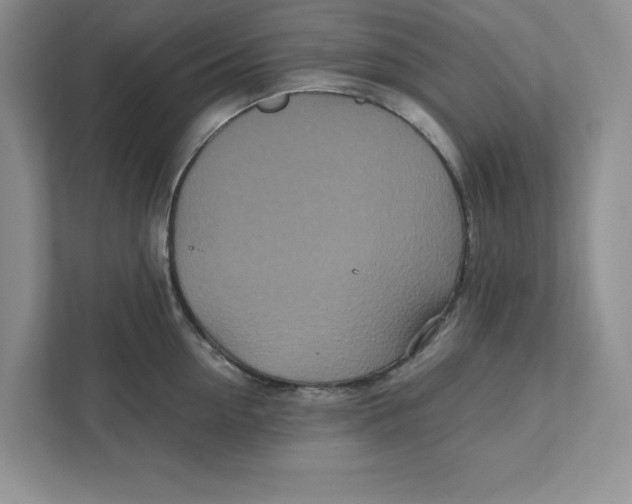 X0000110870954200907091358