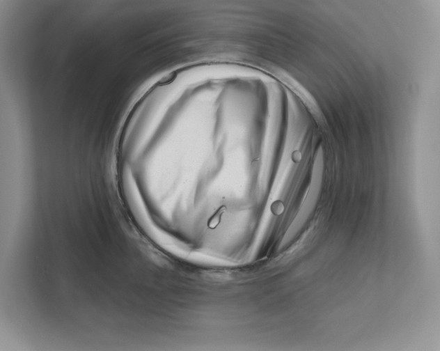 X0000110870956200907091358