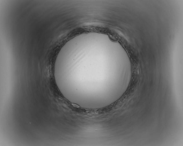 X0000110870965200907091357