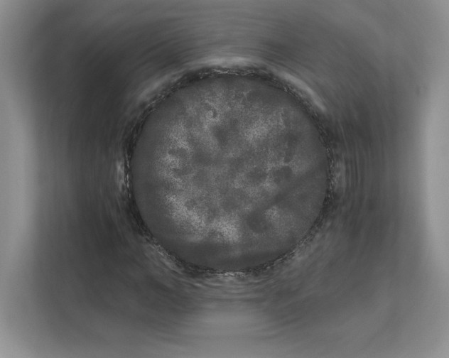 X0000110870966200907091357