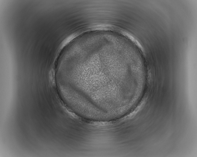 X0000110870970200907091357