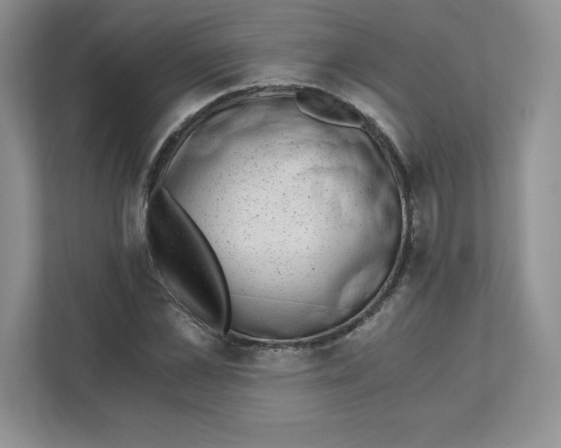 X0000110870973200907091357