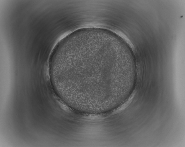 X0000110870974200907091357