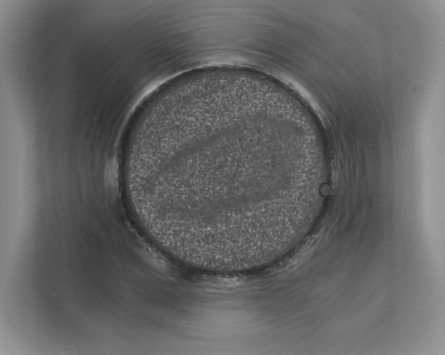 X0000110870975200907091357