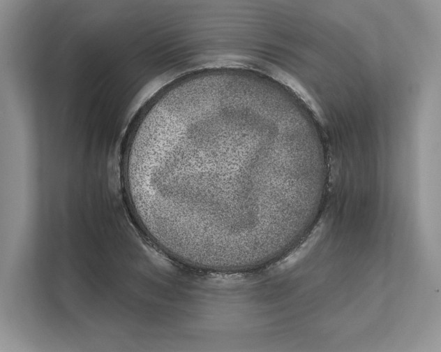 X0000110870978200907091357