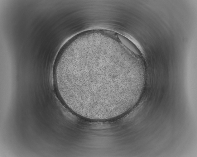 X0000110870980200907091357