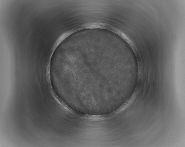 X0000110870986200907091357