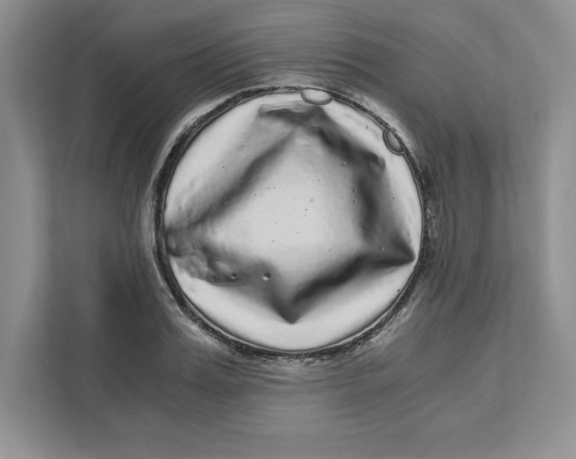 X0000110870987200907091357