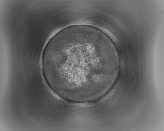 X0000110870990200907091357