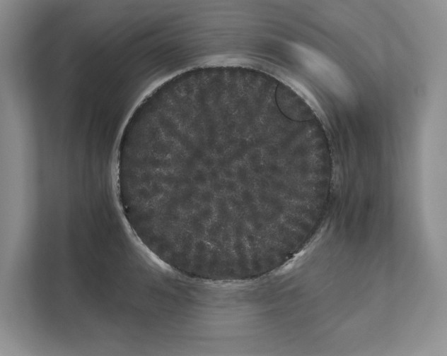 X0000110870992200907091357