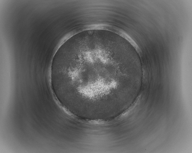 X0000110870994200907091357