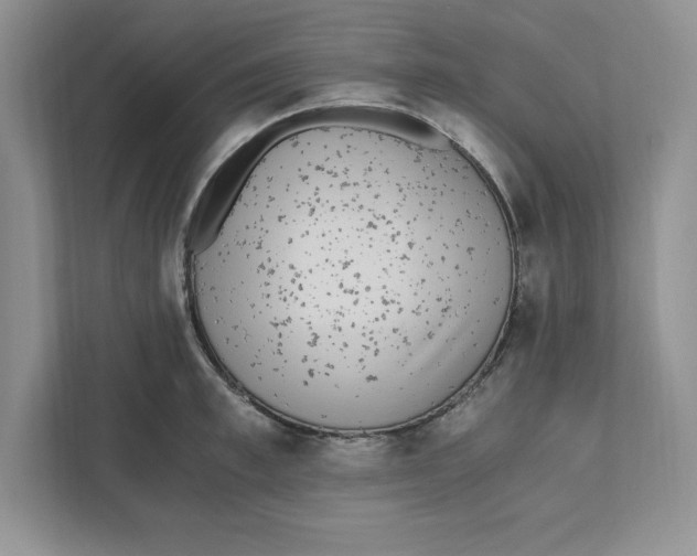 X0000110870997200907091357