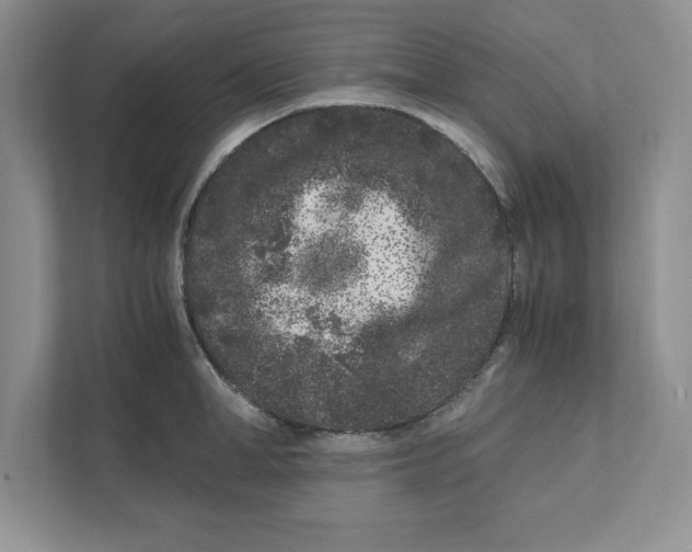 X0000110870998200907091357