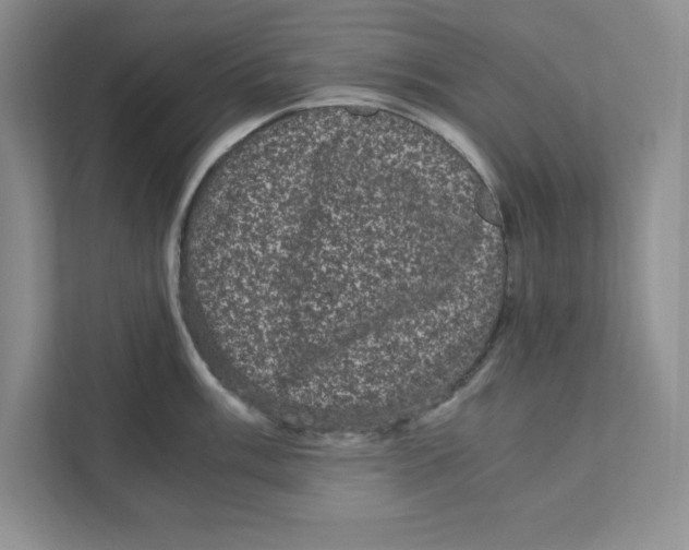 X0000110871003200907091357