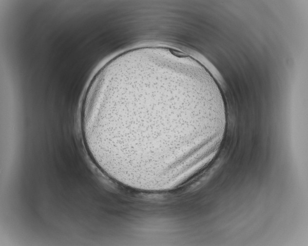 X0000110871004200907091357