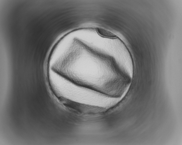 X0000110871008200907091357