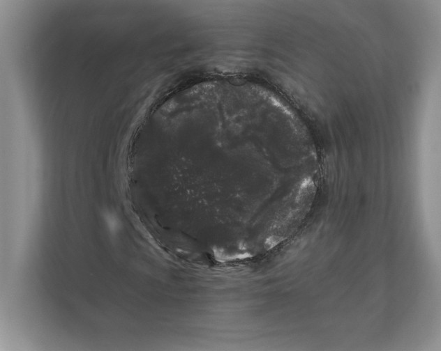 X0000110871009200907091356