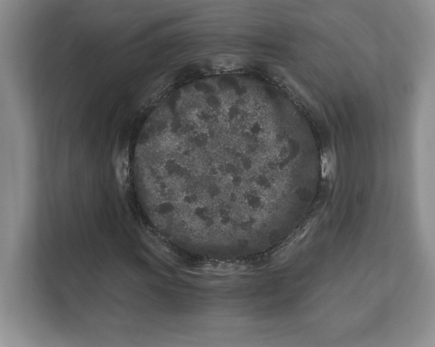 X0000110871011200907091356