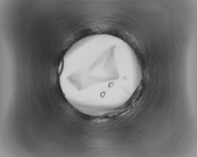 X0000110871012200907091356