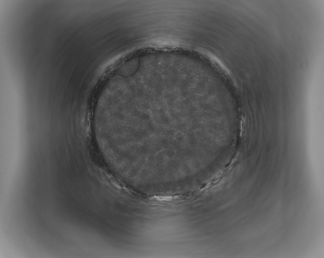 X0000110871016200907091356