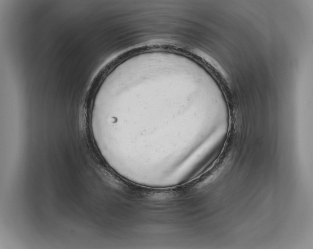 X0000110871021200907091356