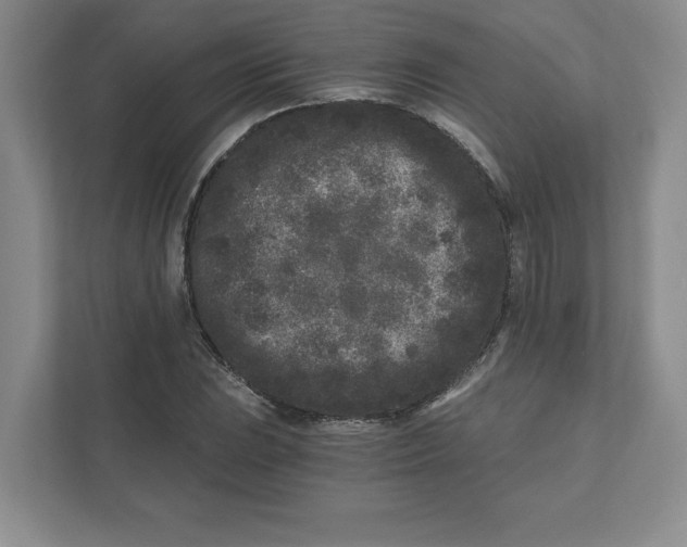 X0000110871023200907091356