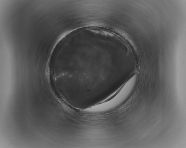 X0000110871024200907091356