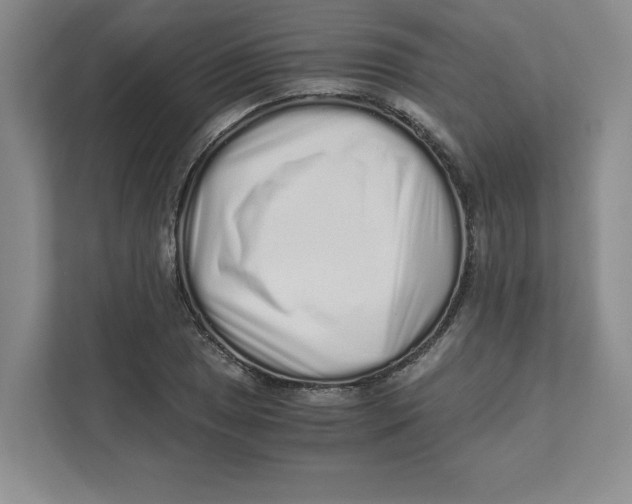 X0000110871025200907091356