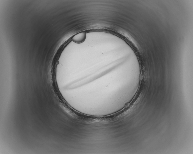 X0000110871026200907091356