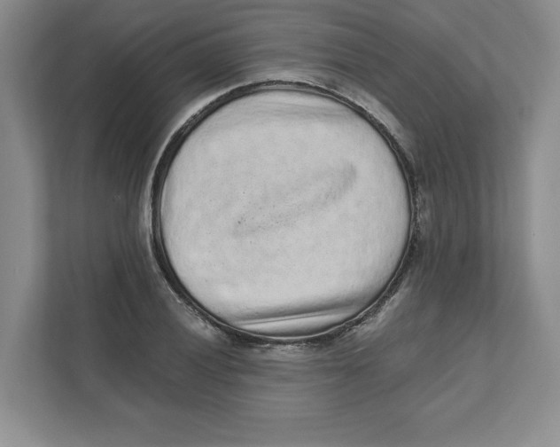 X0000110871028200907091356