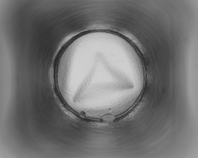 X0000110871030200907091356