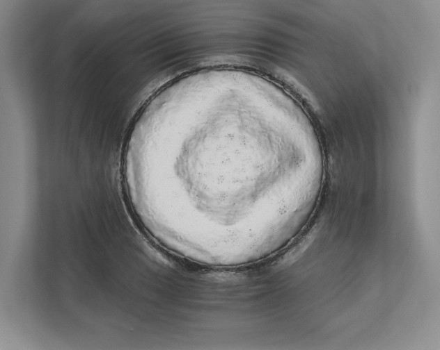 X0000110871033200907091356