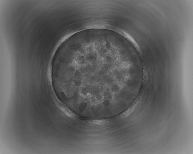 X0000110871035200907091356