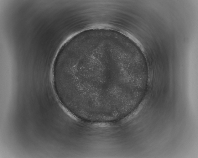 X0000110871037200907091356