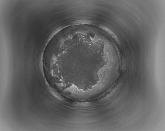 X0000110871039200907091356