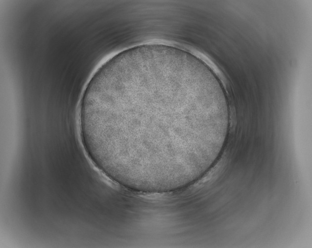 X0000110871048200907091356