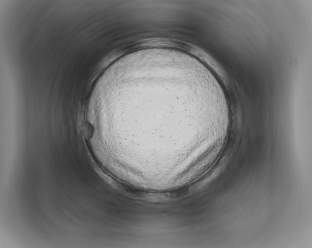 X0000110871049200907091356