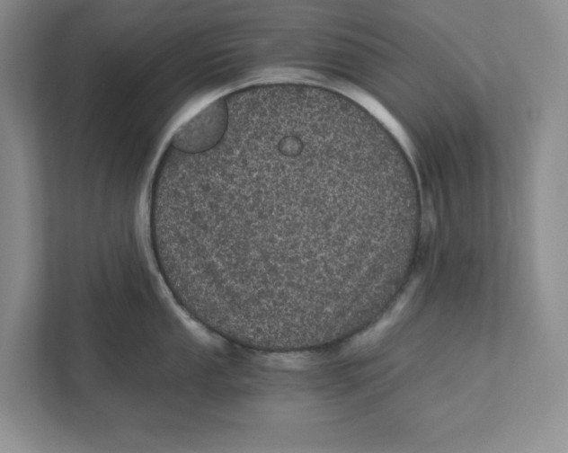 X0000110871053200907091357