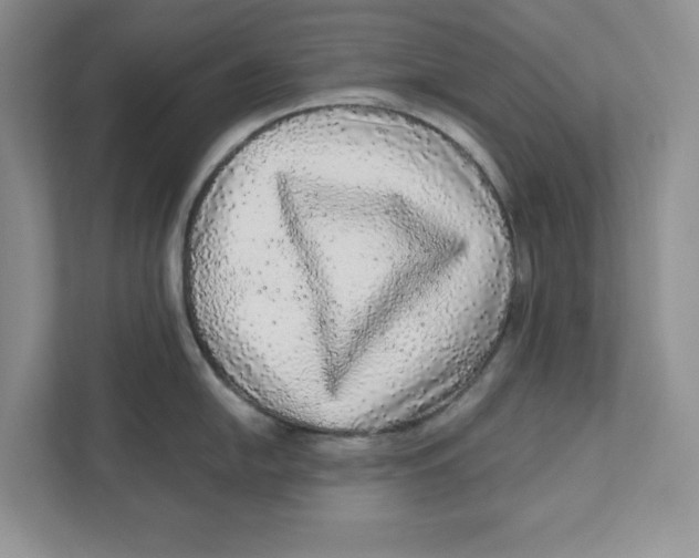 X0000110871054200907091357