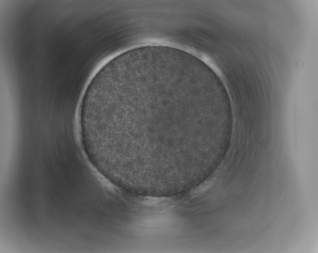 X0000110871056200907091357