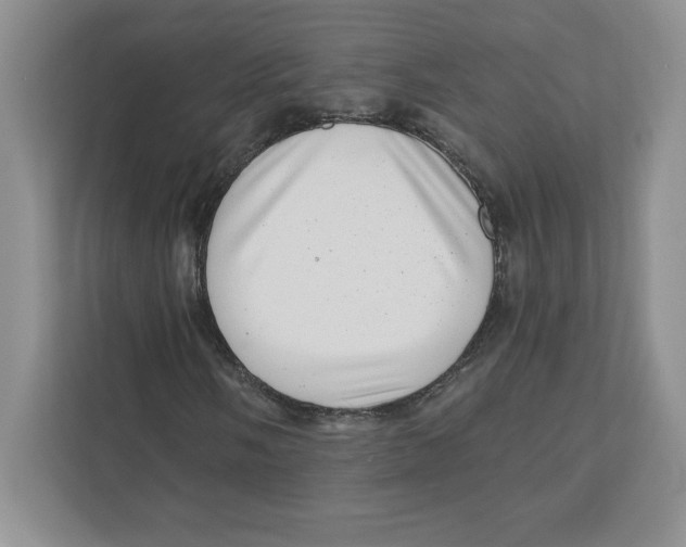 X0000110871058200907091356