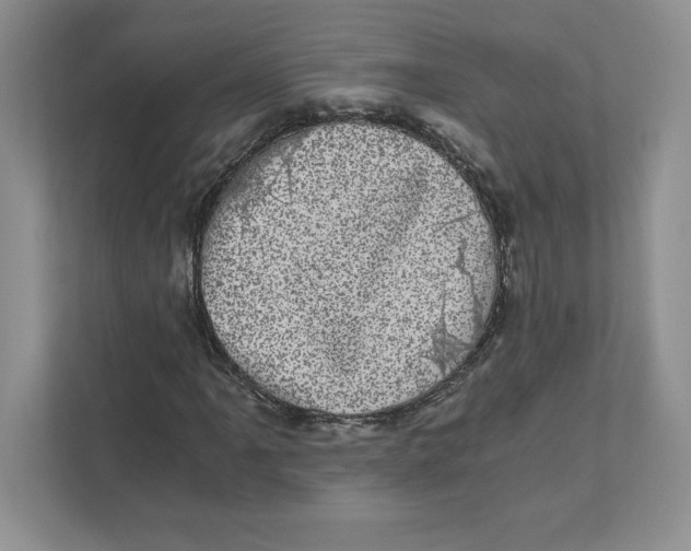 X0000110871061200907091356