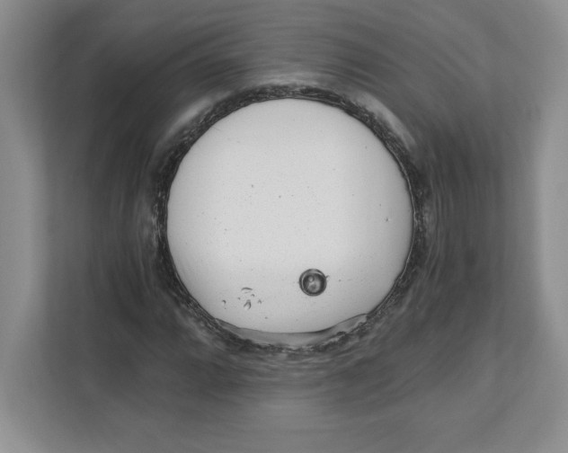 X0000110871064200907091356