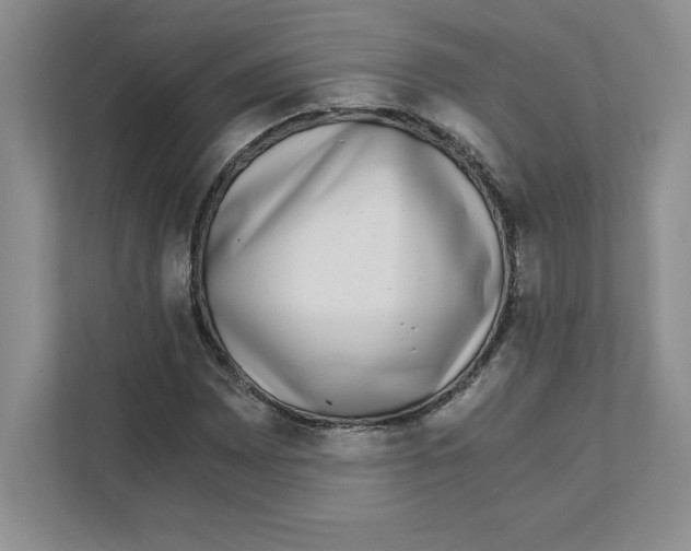 X0000110871065200907091356