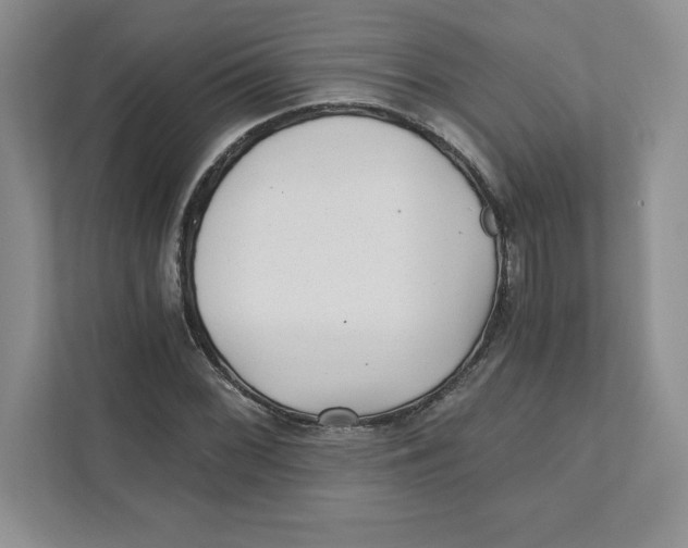 X0000110871068200907091356