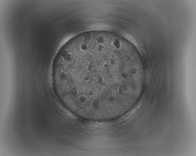 X0000110871071200907091356